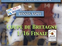 JA Melesse Basket - Affiche Coupe SF 21 fév 2016